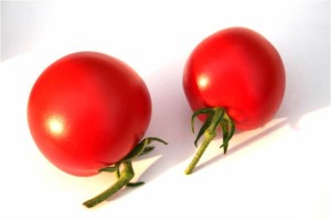 tomatoes