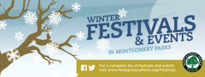 Winter_Banner-festivals