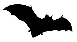 bat