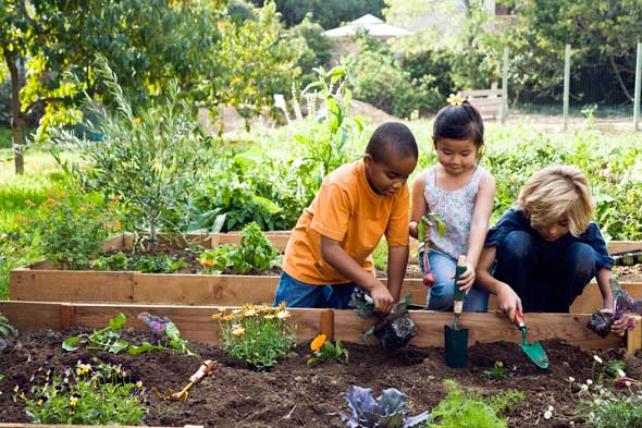 community garden2