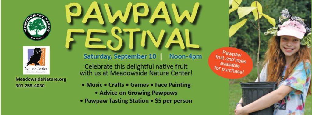 pawpaw_festival