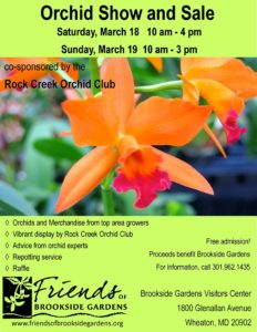 brookside_gardens_march_2017_orchid_show