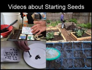 seed-starting_video
