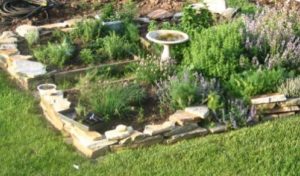 Herb_garden_Kent_Phillips-498x292