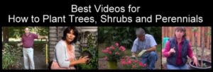 BestGardeningVideosCollages27