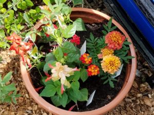 flower_pot