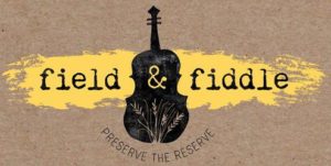 fiddle-and-fiddle-logo-color_1