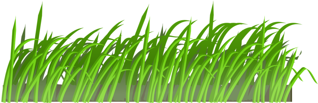 grass