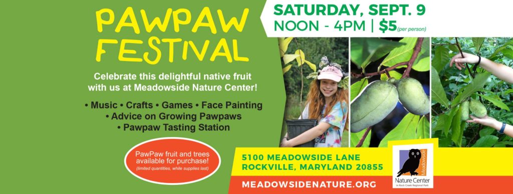 pawpaw_festival_Sept92017