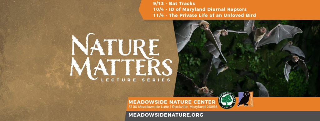 nature-matters-meadowside_nature-ctr