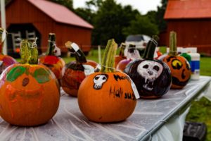 pumpkin_panache-festival-brooksided-gardens