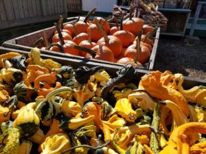 fall farmer market