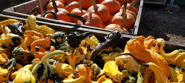 fall farmer market