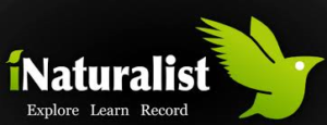 iNaturalist-logo