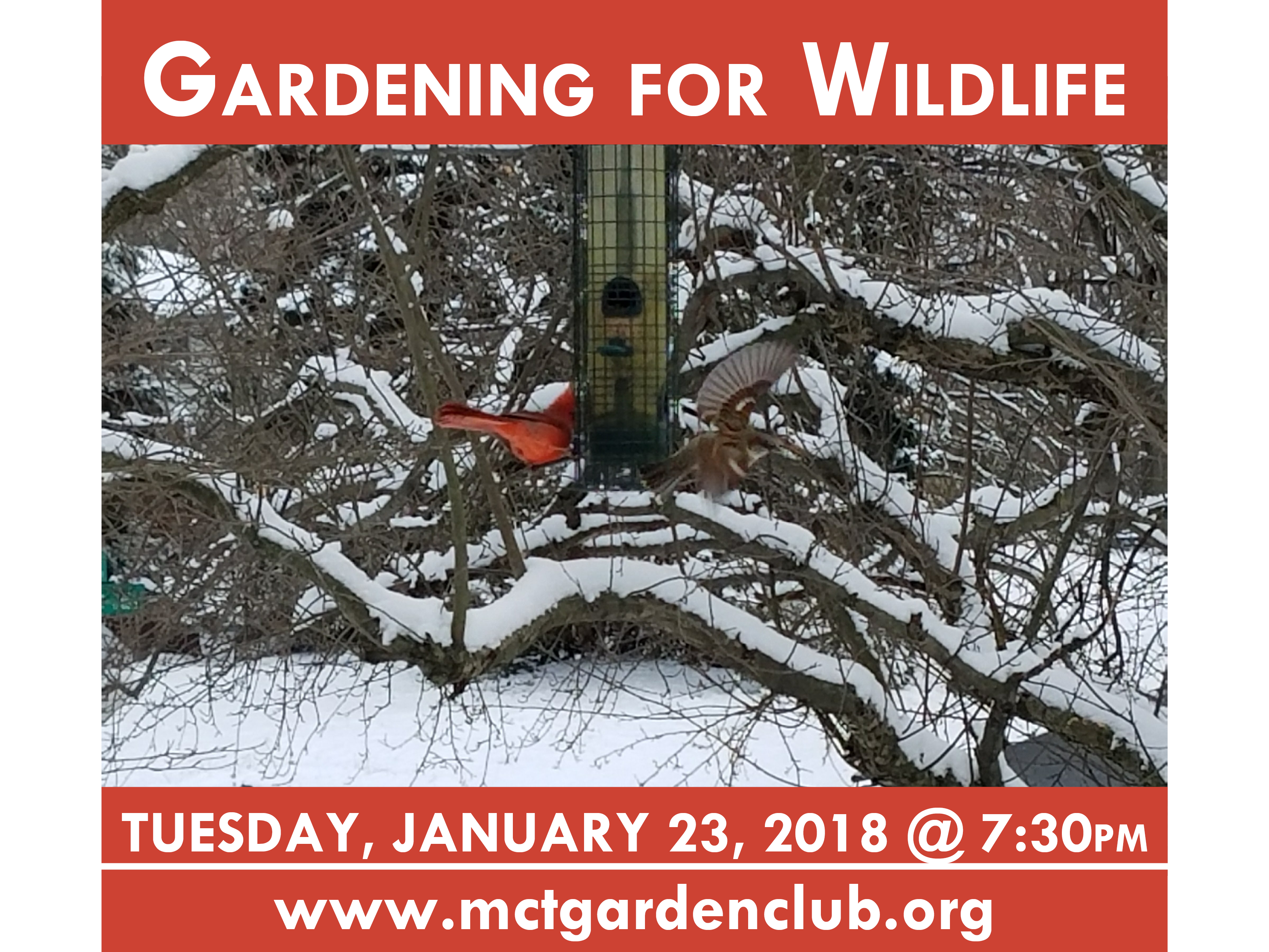 Jan232018 mctgc meeting topic garden for wildlife talk