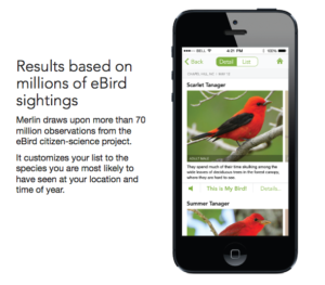 eBird_results_Merlin