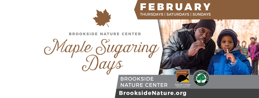 Maple Sugaring Days