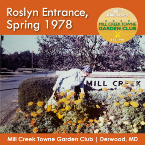 Roslyn Entrance Spring 1978