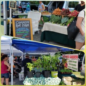 Derwood Farmers Market