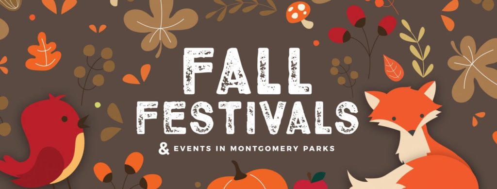 Fall-Festivals