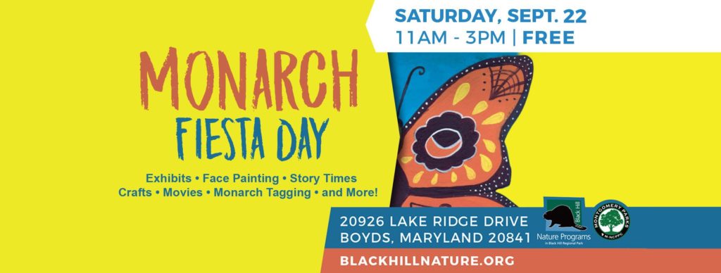 Monarch Fiesta Day - Black Hill Park Sep 22 2018