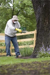 man fertilizing lawn