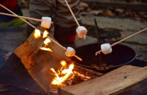 Winter Solstice Campfire