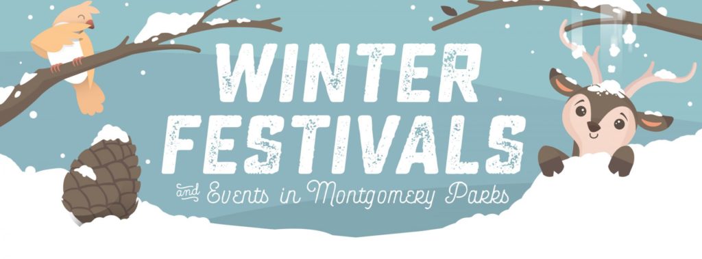Winter-Festivals-Website-Banner