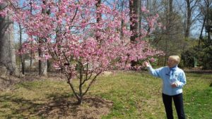 Brookside Gardens Volunteer Tour Guide