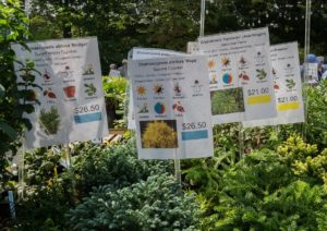 Friends of Brookside Gardens Fall Plant Salends of Brookside Gardens Fall Plant Sale