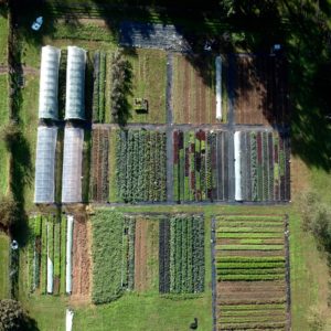 Common Root Farm