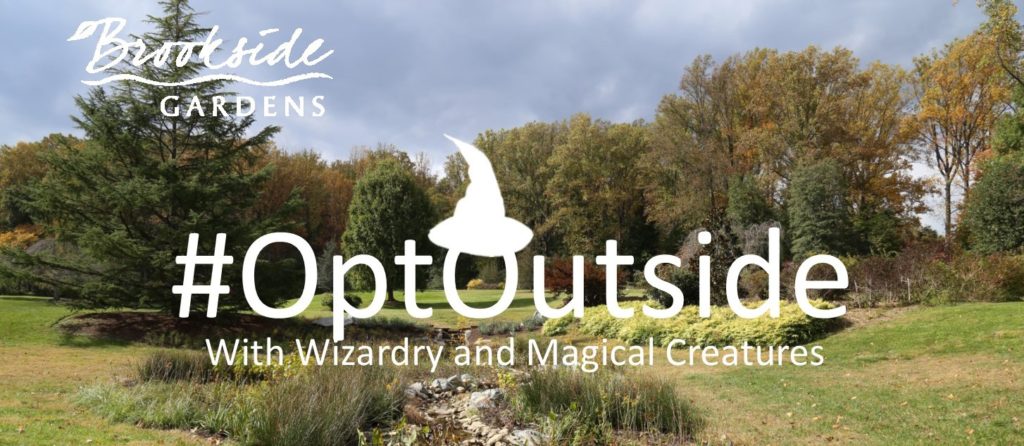 OptOutside with Wizardry and Magic-Brookside Gardens