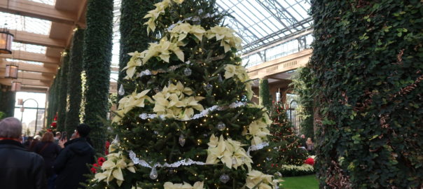 Christmas tree with poinsettias