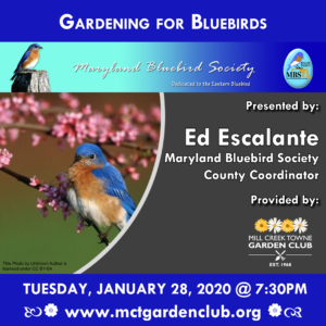 Jan282020-mctgc-meeting-topic-gardening-for-bluebirds-1