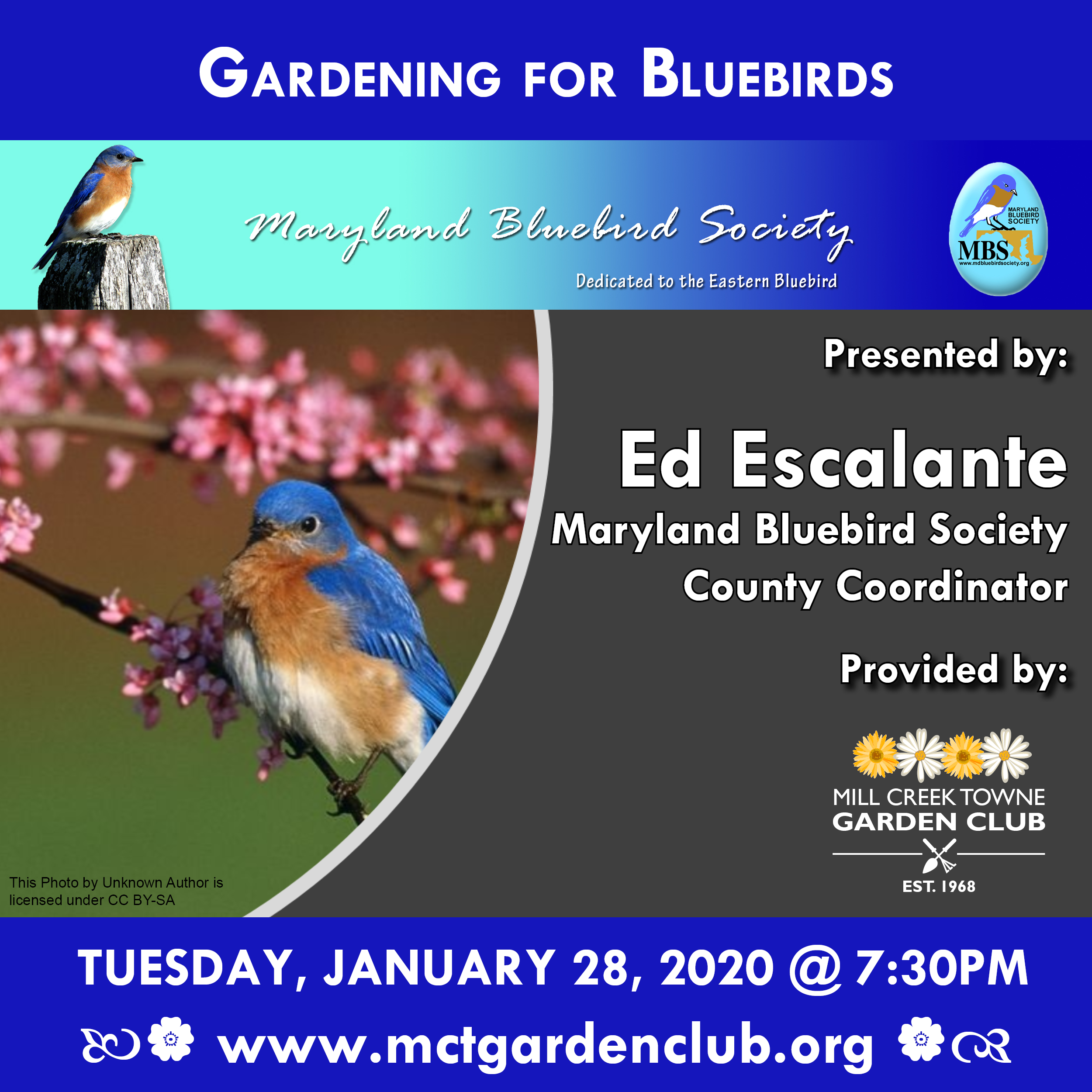 Jan282020 mctgc meeting topic gardening for bluebirds