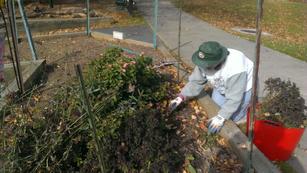 Black Hill Gardening