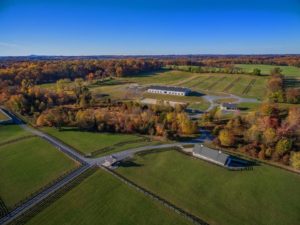 Rolling Ridge Floral Design Farm