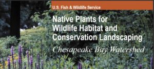 Native Plants for Wildlife Habitat and Conservation Landscaping