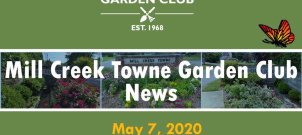 MCT Entrance News 7May2020