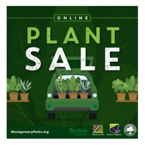 Plant-Sale-2020-website
