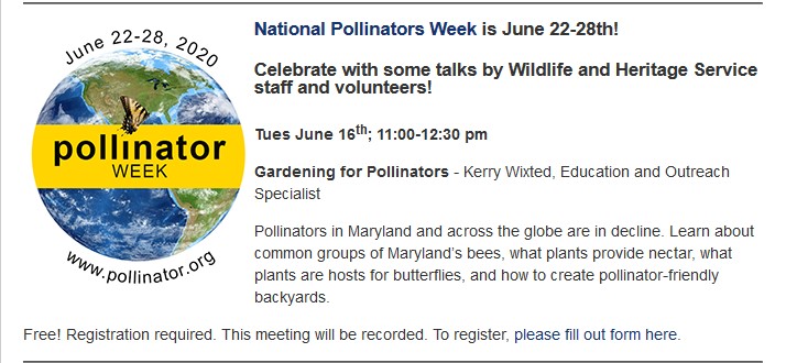 National Pollinators Week is June 22-28th!