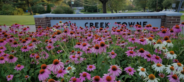 purple coneflowers mill creek towne roslyn entrance