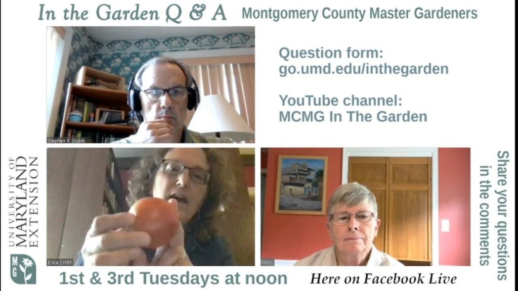 In the Garden Q & A