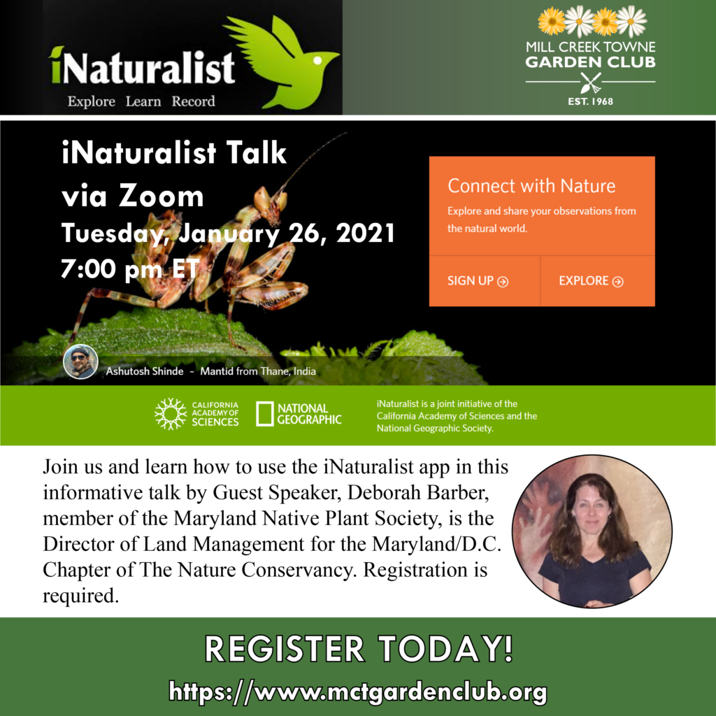 Tue Jan 26 2021 iNaturalist Talk