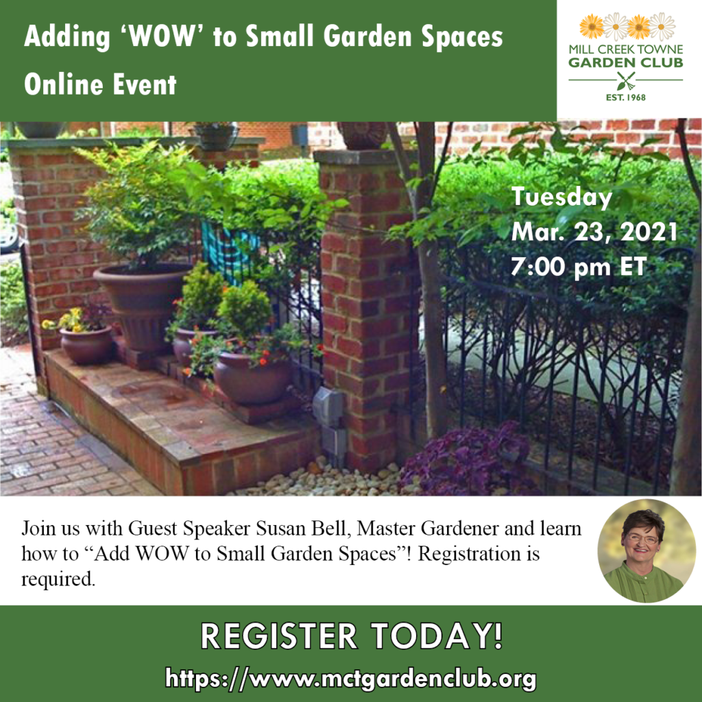 Tue Mar 23 2021 Susan Bell Adding Wow to Small Spaces event