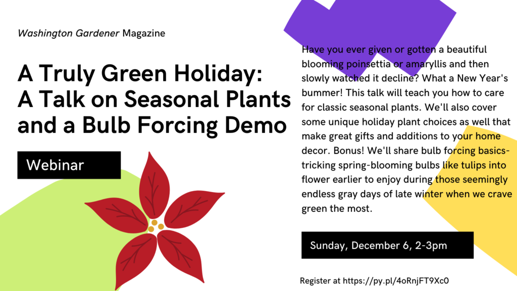 truly-green-holiday-talk-image