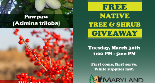 Free-Native-Tree-and-Shrub-Giveaway-2021