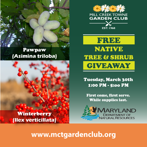 Free-Native-Tree-and-Shrub-Giveaway-2021