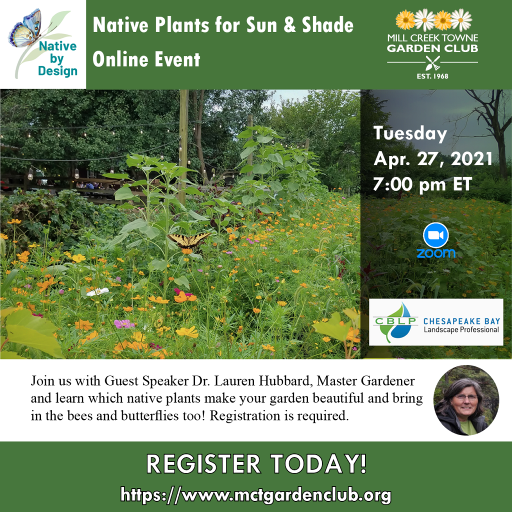 Tue Apr 27 2021 Lauren Hubbard Native Plants for Sun and Shade event