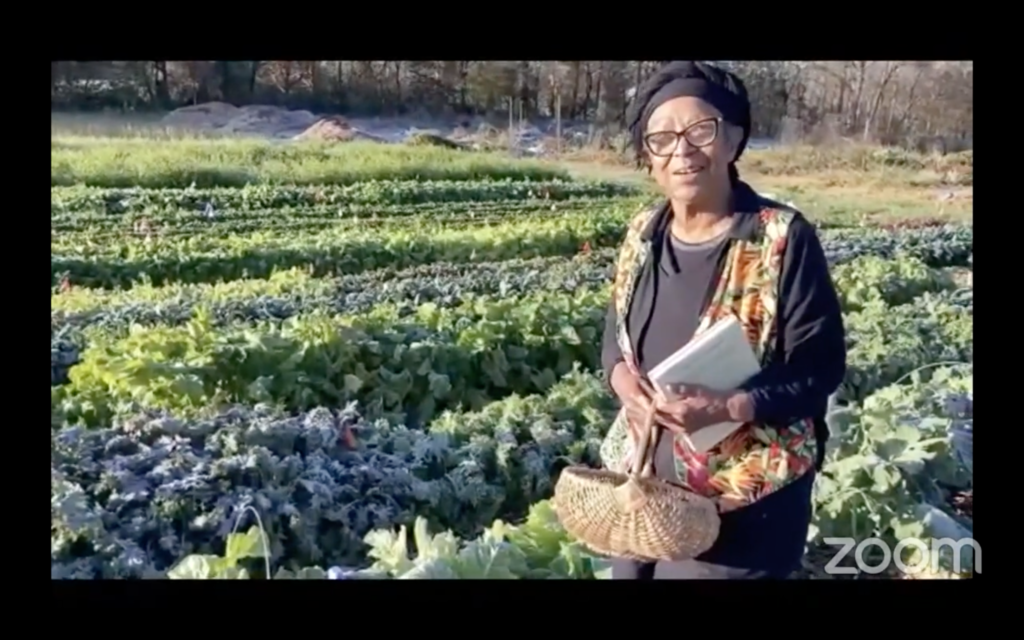 Heirloom Collards Project